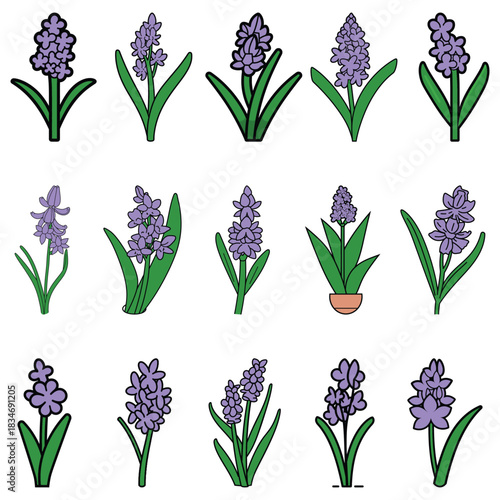 Cartoon Purple Hyacinth Flower Illustration with Green Leaves on White Background Simple Design