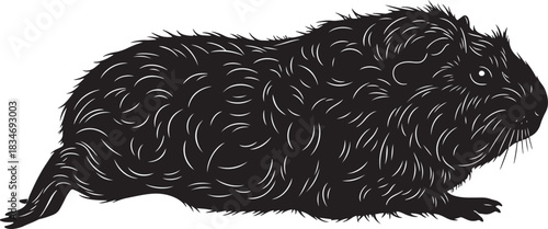 Black silhouette illustration of a furry guinea pig, a cute pet rodent, walking or resting, isolated on white.