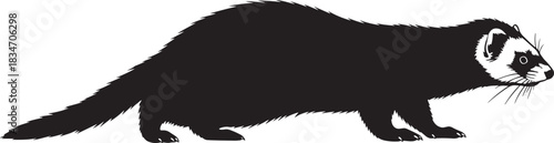 Black and white graphic silhouette vector of a ferret standing, displaying its distinctive facial markings and slender body.
