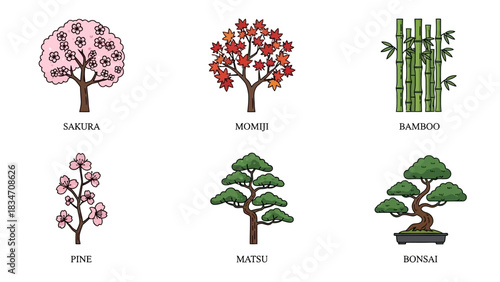 Explore the serene beauty of Japanese flora with sakura blossoms, bonsai, momiji maple leaves and bamboo in this charming collection