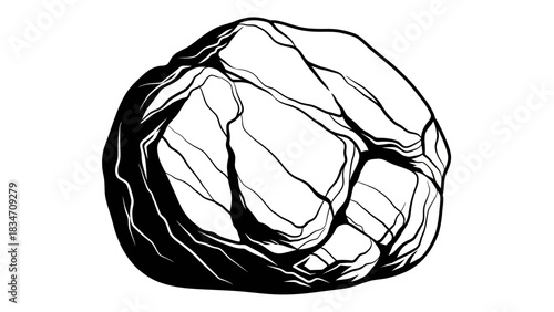 A detailed black and white illustration of a large, rough, and textured rock with prominent cracks and lines.