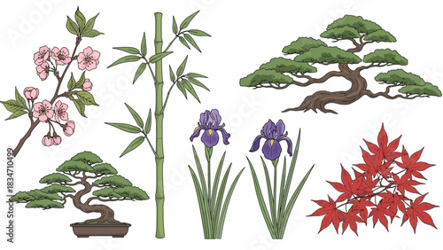 Elegant Japanese garden plants featuring cherry blossom, bamboo, bonsai trees, iris flowers, and vibrant maple leaves create a serene and balanced design
