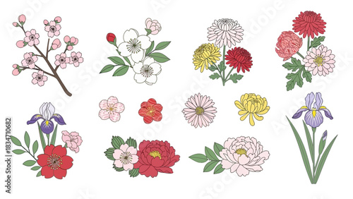 Elegant floral elements featuring cherry blossoms, peonies, irises, and chrysanthemums for timeless designs, adding graceful and delicate beauty to any project.