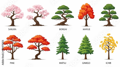Explore a Diverse Collection of Trees - Sakura, Bonsai, Maple, Pine, Matsu, Ginkgo and Icho - Perfect for Educational Material and Nature Designs
