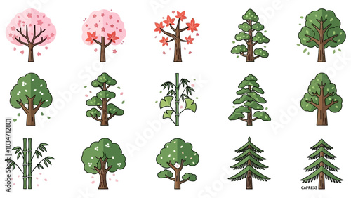 Delightful collection of illustrated trees with bamboo and Japanese maple, perfect for adding a touch of nature to your designs and bringing a peaceful vibe