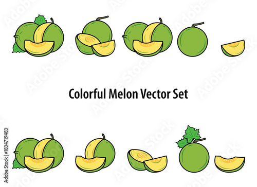 simple Melon Fluit clip art. Melon Fruit Slica illustration for logo and elements decoration