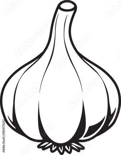 Garlic black and white colors clipart