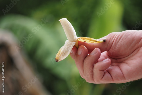 Small banana in hand.
