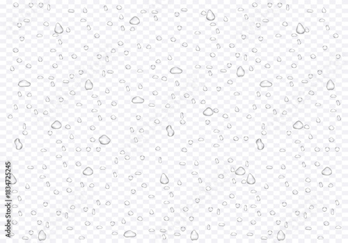 “Realistic Water Drop Background with Transparent Droplets, Moisture Condensation, Splash Texture, Dew and Raindrop Effect for Clean Liquid Design”