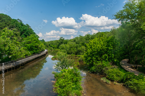 Nature’s heartbeat, flowing endlessly, Chattahoochee Nature Center, Roswell, Georgia, United States of America