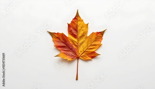 A Canadian flag with a maple leaf in the center is visible. The leaf appears to be a decorative cut out design rather than an actual flag