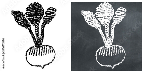Chalk Handdrawn Turnip Vector Ideal for menu, food, recipe, and garden graphics in a rough chalkboard style. Symbolizes root vegetable, simple produce, and cooking ingredient.