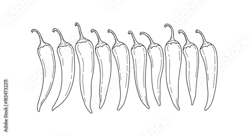 A set of ten hand-drawn chili peppers in a simple black and white line art style arranged in a row on a white background.