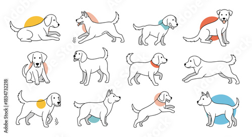 A charming collection of twelve line art dogs in various playful poses like running sitting and jumping with colorful accent circles.