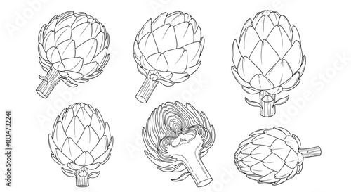 A set of six detailed artichoke illustrations in a black and white line art style showing whole and cross-section views.