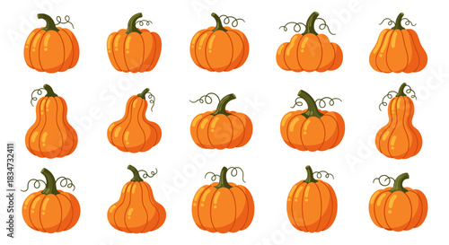 A large set of fifteen cartoon pumpkins in various shapes and sizes with green curly vines perfect for autumn holidays.
