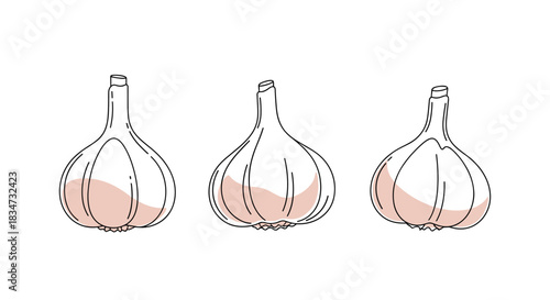 A set of three garlic bulbs in a simple and modern line art style with a subtle pink color accent for a clean look.