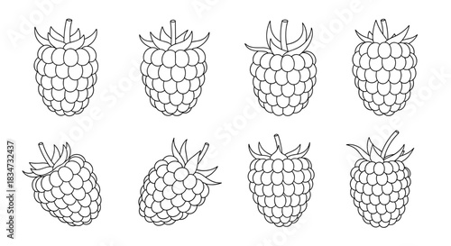 Collection of eight fresh raspberries shown from different angles in a simple black and white outline drawing style for coloring.