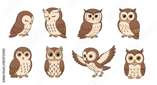 Adorable collection of eight cute cartoon owls in different poses like sleeping winking flying and standing on a white background.