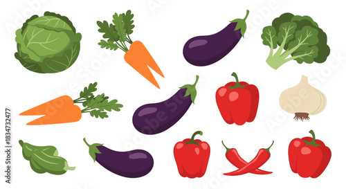 A vibrant and colorful collection of assorted fresh vegetables including cabbage carrots eggplant and bell peppers on a white background.
