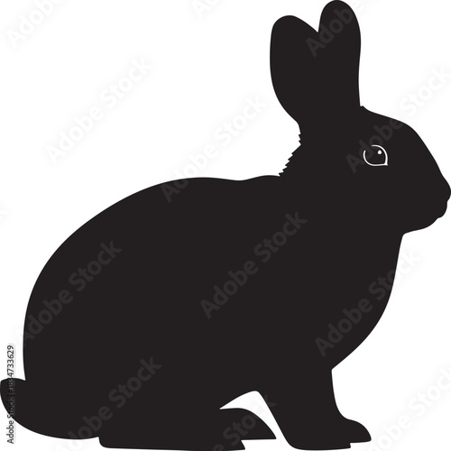 Black rabbit standing upright isolated on