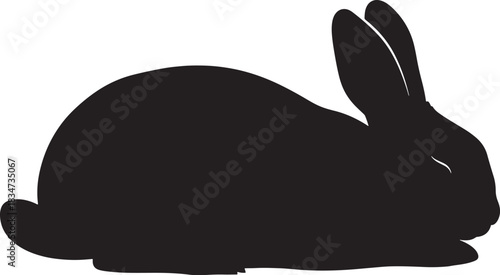Black rabbit sitting isolated on, looking forward