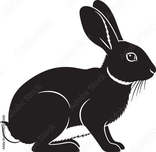 A black lopeared rabbit sitting with its ears hanging down