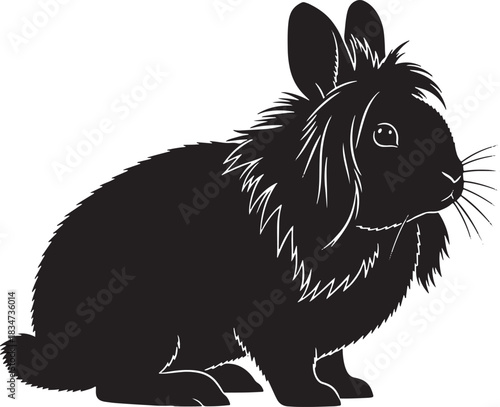 Black rabbit sitting isolated on, a charming creature