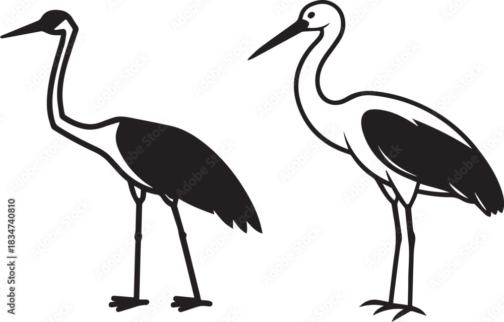Obraz premium Crane Duo Line Art