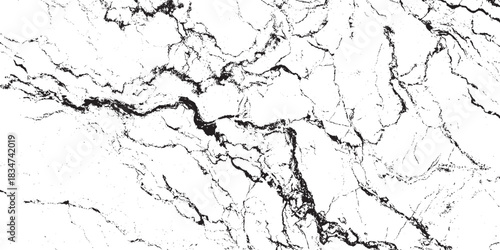 Black and white cracked wall, old wall, grunge wall paint effect, grungy transparent texture  grunge, ground distress texture, damage texture. old black and white wall background crack vector, grunge 