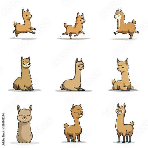 Set Cute Kawaii Vicuna Wild Animal