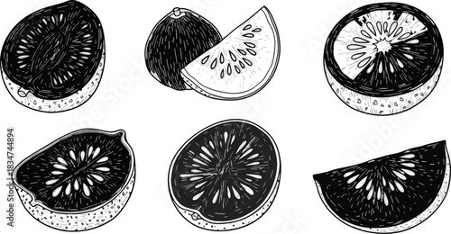 Black and White Sketch of Kiwi Fruits Sliced and Whole in Artistic Style