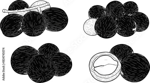 Fresh Whole and Halved Lychee Fruits in Black and White Illustration