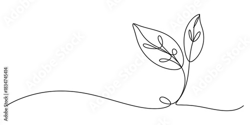 Continuous line drawing of a minimalist plant sprout with two leaves, symbolizing organic growth, ecology, and nature's simplicity. Vector, illustration