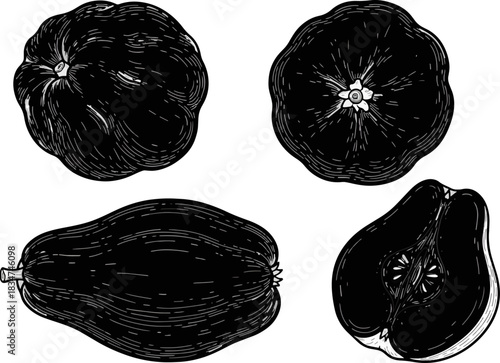 Black and White Line Drawing of Various Fruits on White Background