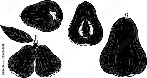 Line Drawing of Pears and Pear Halves in Black and White