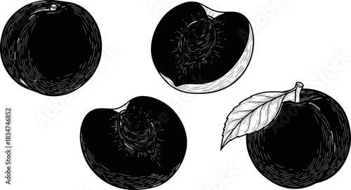 Black and White Sketch of Fresh Peaches with Leaf and Halves
