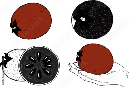 Fresh Brown and White Guavas with Cross Section and Hand Holding Fruit