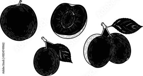 Black and White Illustration of Fresh Peaches and Half Cut Peach