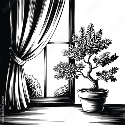 Black and white sketch of a potted bonsai tree by a window with curtains