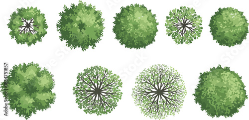 Top-view green tree and bush vector collection featuring detailed foliage textures, garden landscape elements, natural plant icons for design projects