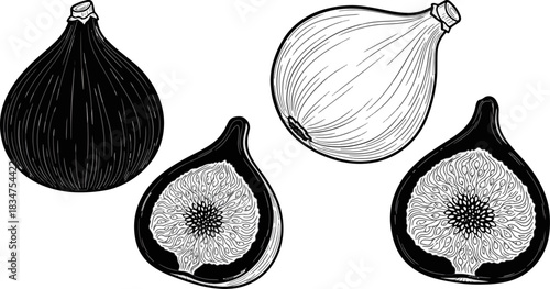 Black and White Illustration of Whole and Halved Figs on White Background