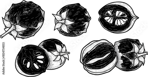 Black and White Line Drawing of Tomato Fruits with Leaves in Artistic Style