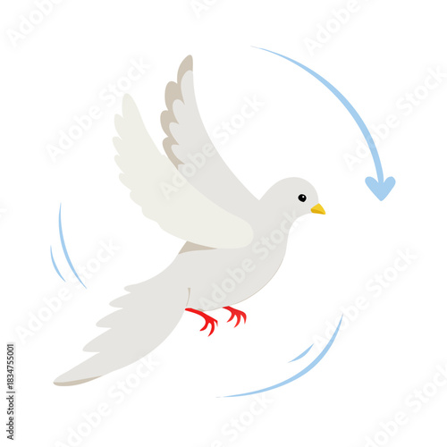 Wallpaper Mural Full cycle animation of the dove. White pigeon flight sequences.
 Torontodigital.ca