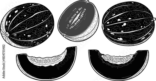 Black and White Illustration of Melons with Whole and Sliced Pieces in Line Art Style