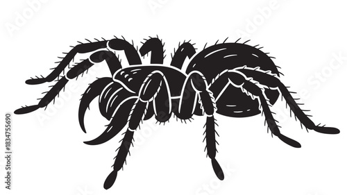 Eerie silhouette of a spider, perfect for Halloween designs or spooky themed projects, capturing the essence of arachnids in a dark and captivating way for your creative needs