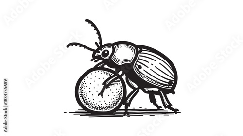 Intricate vintage style engraving of a beetle pushing a polka dot ball for a unique logo or nature-inspired design project, perfect for adding an old-world charm to your creations