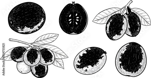 Black and White Illustration of Assorted Fruits Including Lemons Oranges and Grapes