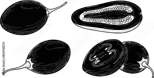 Black and White Illustration of Papaya Fruits with Cross Sections and Whole Fruits