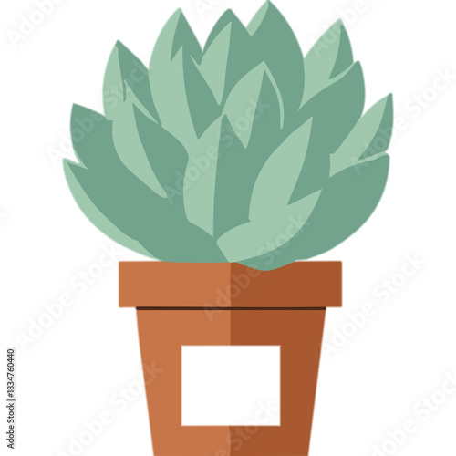 Flat Design Illustration of a Light Teal Succulent Plant in a Terracotta Pot with a Square Cutout Against a Black Background